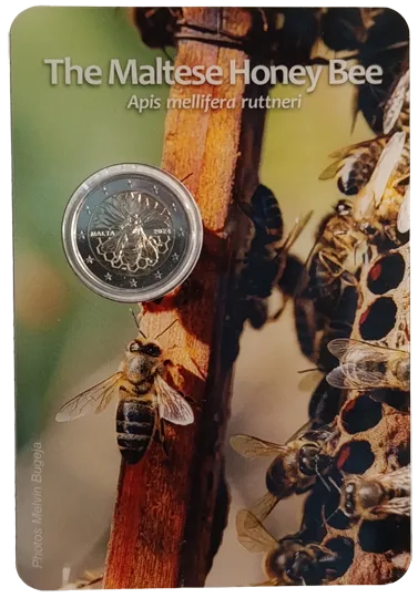 Malta 2024 – Maltese Native Species – Coincard