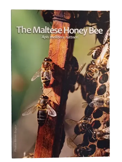 Malta 2024 – Maltese Native Species – Folder